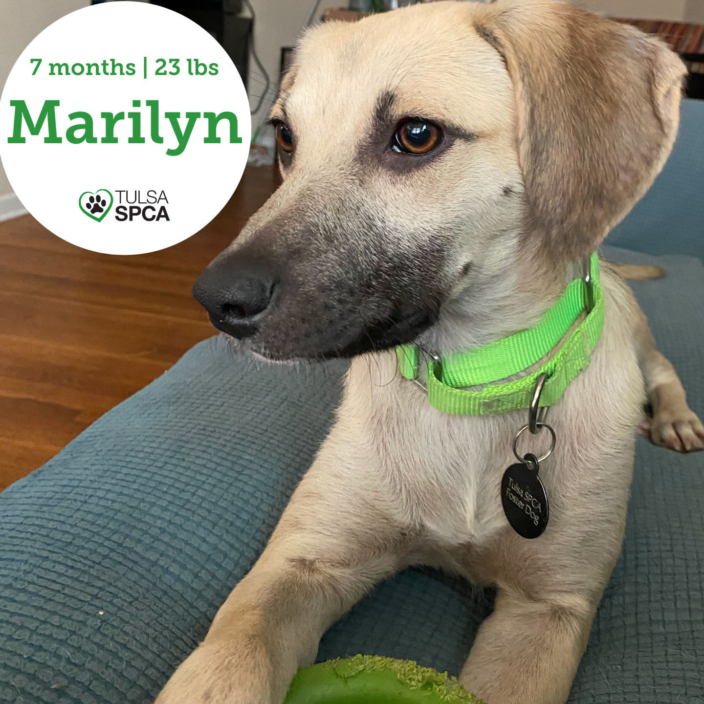 Marilyn